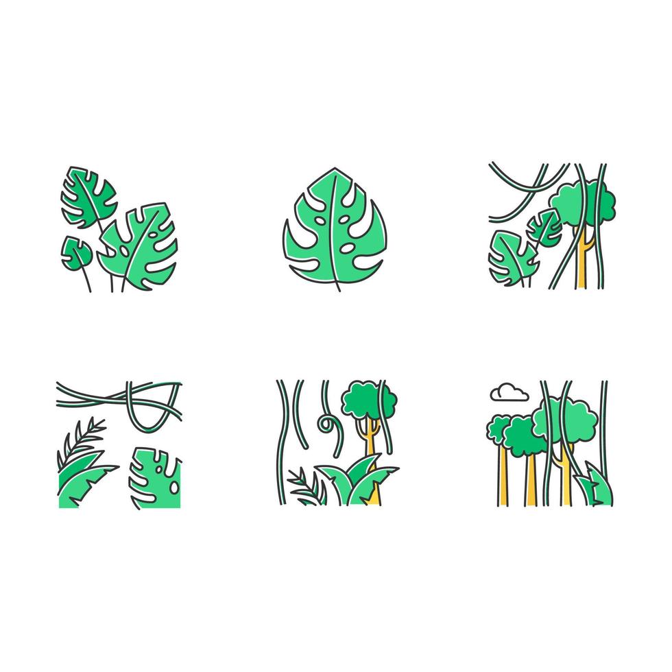 regenwoud planten kleur iconen set. groenblijvende bosranken. Zwitserse kaasfabriek. reis naar de Indonesische jungle. de natuur van Bali ontdekken. tropische flora verkennen. geïsoleerde vectorillustraties vector