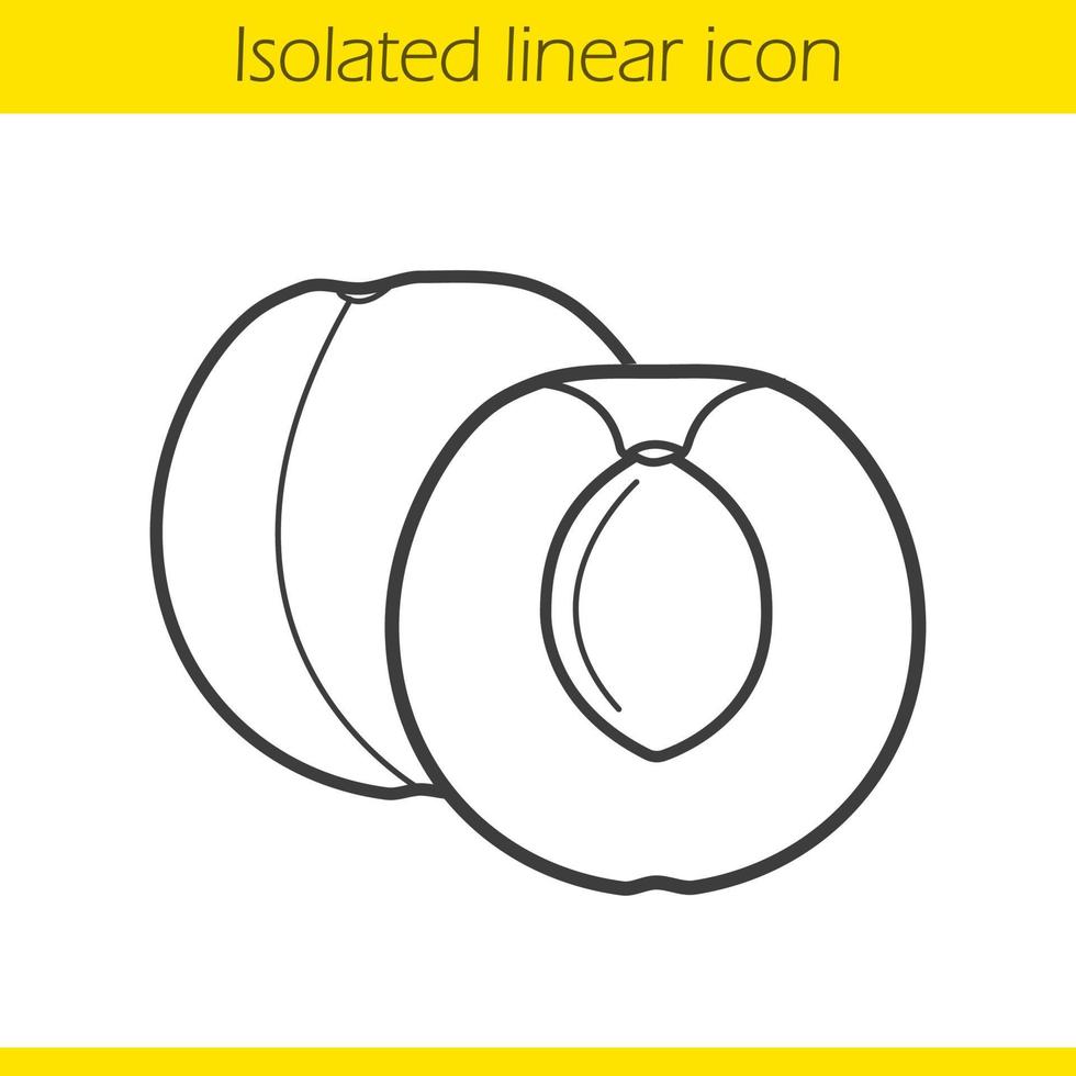 abrikoos lineaire pictogram. dunne lijn illustratie. contour symbool. vector geïsoleerde overzichtstekening