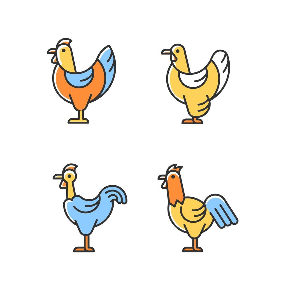 kippenrassen rgb kleur iconen set. brahmaanse kip. transylvanische kip. kip en haan. pluimveehouderij. veeteelt. geïsoleerde vectorillustraties. verzameling eenvoudige gevulde lijntekeningen vector