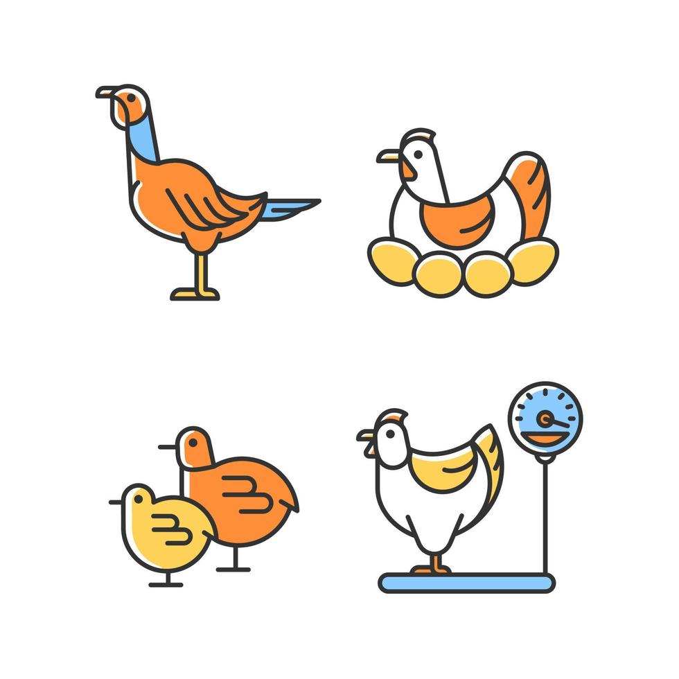 binnenlandse kippen rgb kleur pictogrammen instellen. vrouwelijke vogels. kalkoen en kip. broed kip. pluimveehouderij voor eieren en vlees. geïsoleerde vectorillustraties. verzameling eenvoudige gevulde lijntekeningen vector