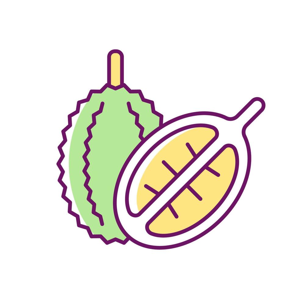 durian rgb kleurenpictogram. bitterzoet fruit in singapore. fruit met een sterke geur. mao shan wang. rijke bron van voedingsstoffen. tropische plant. geïsoleerde vectorillustratie. eenvoudige gevulde lijntekening vector