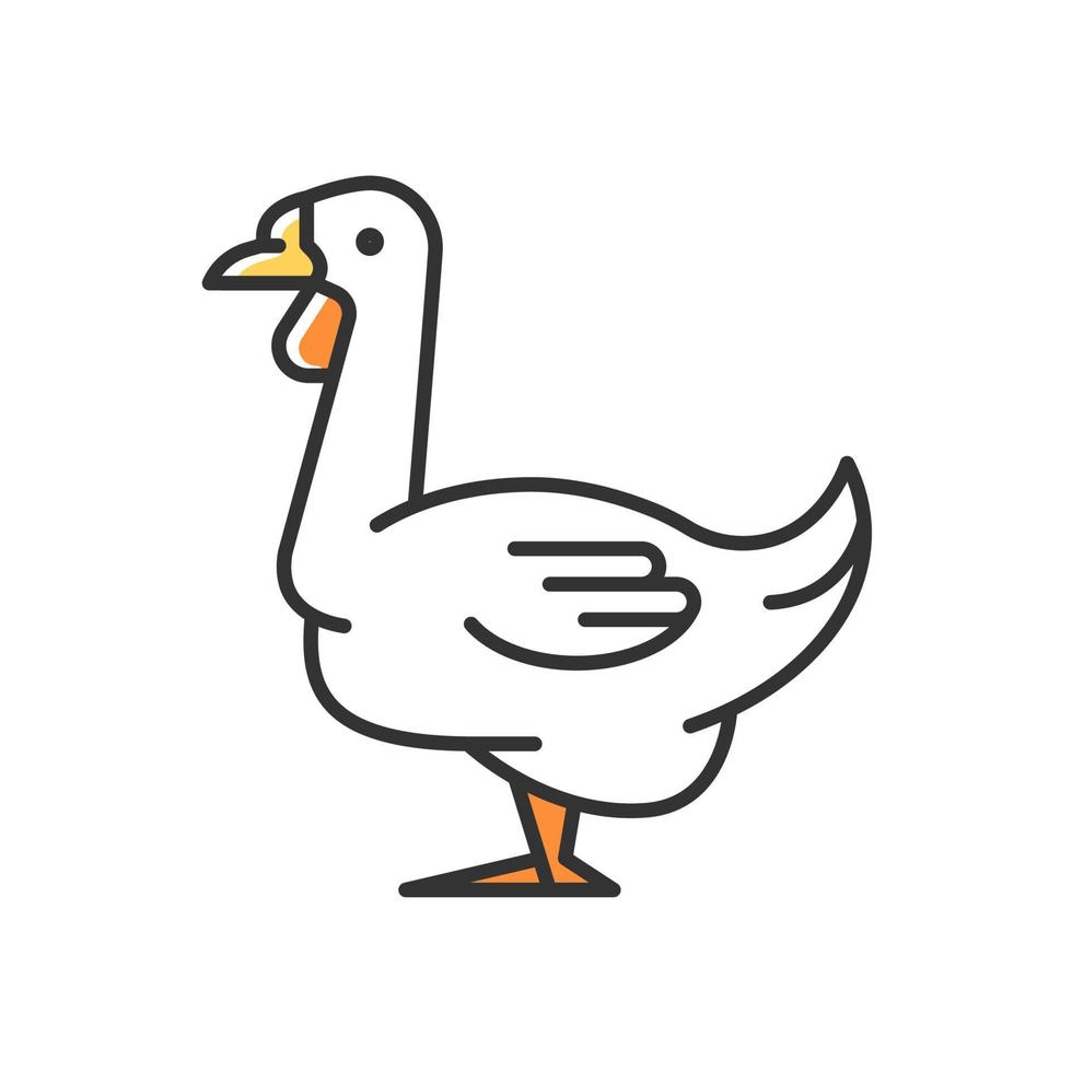 Afrikaanse gans rgb kleur icoon. watervogels. binnenlandse ganzen. commerciële pluimveehouderij voor voedsel. gansjes grootbrengen. bruine gans. geïsoleerde vectorillustratie. eenvoudige gevulde lijntekening vector