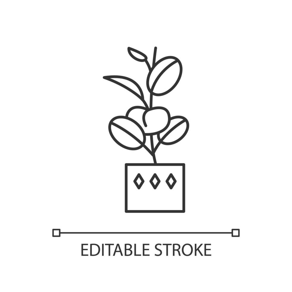 ficus elastica pixel perfect lineair pictogram. rubberen afb. Indiase boom. potplant met ovale bladeren. dunne lijn aanpasbare illustratie. contour symbool. vector geïsoleerde overzichtstekening. bewerkbare streek