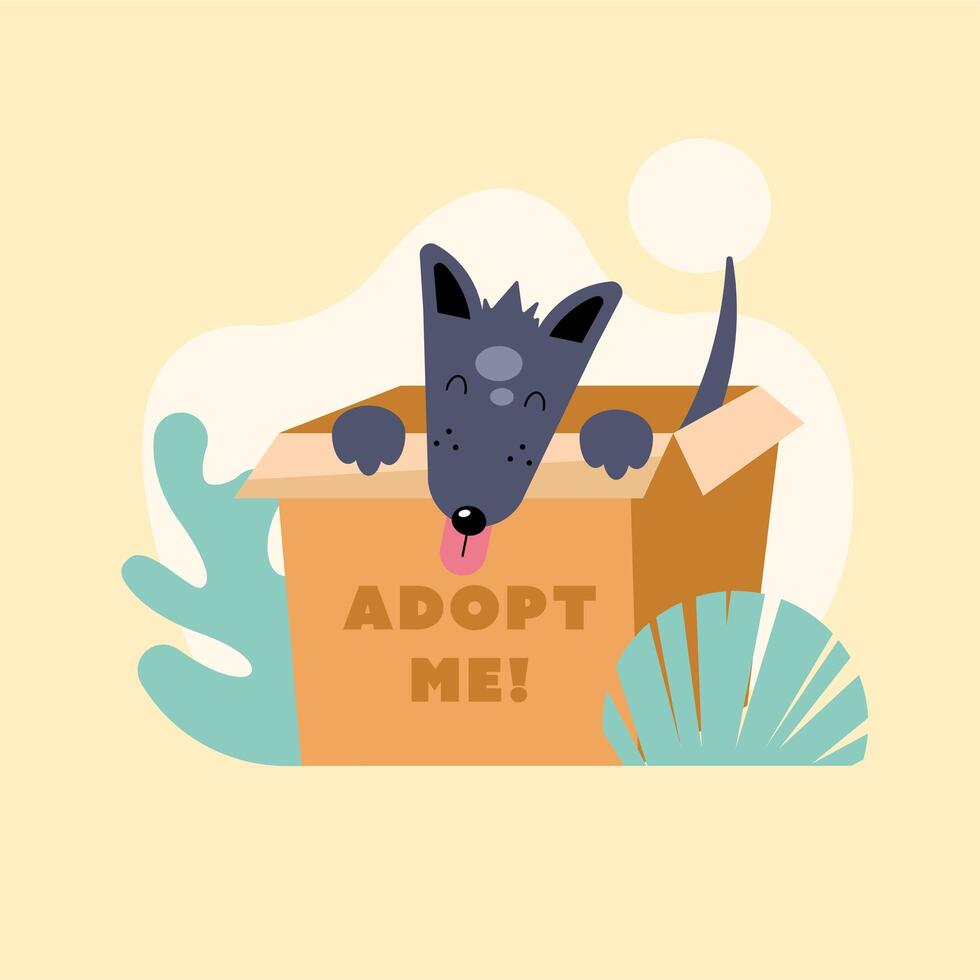 hond in doos adoptie vector