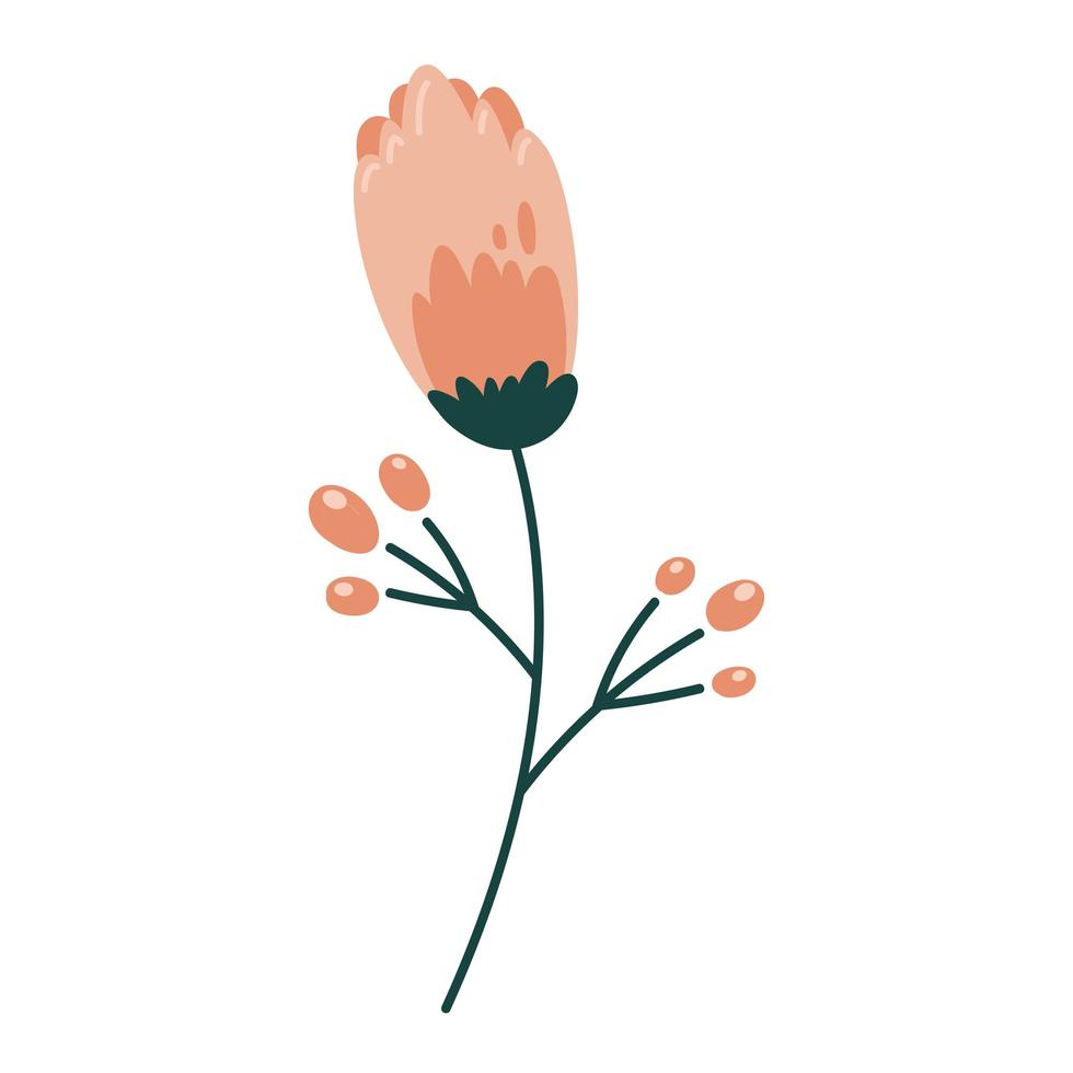 roze schoonheidsbloem vector