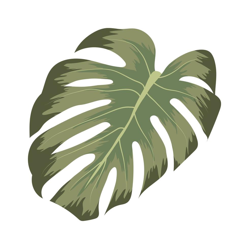 cool monstera-ontwerp vector