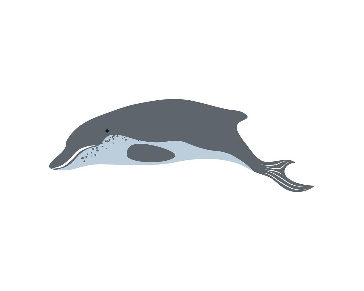 dolfijn zeeleven vector