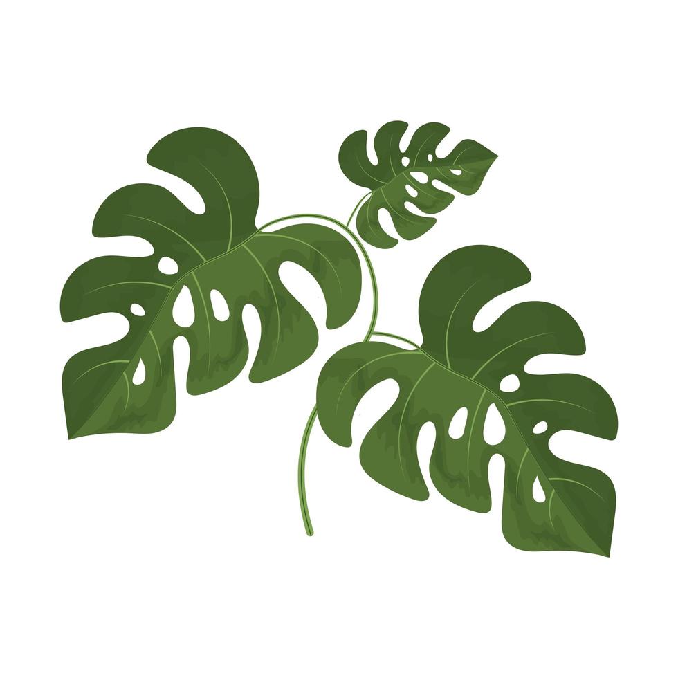 laat monstera-pictogrammen achter vector