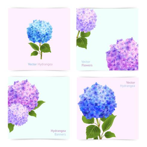 Hydrangea kaarten set vector