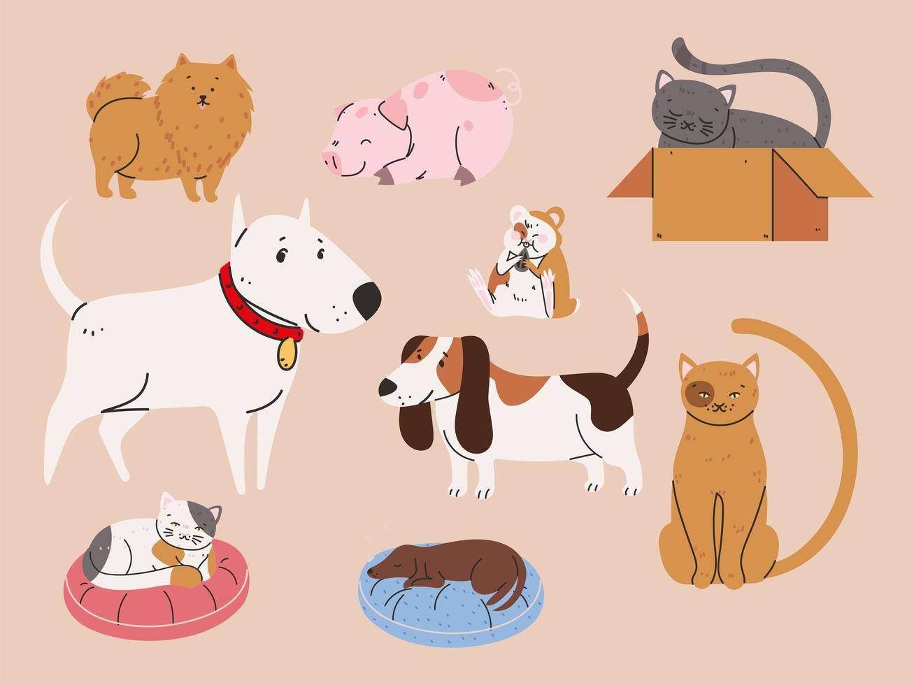 huisdieren honden en katten vector