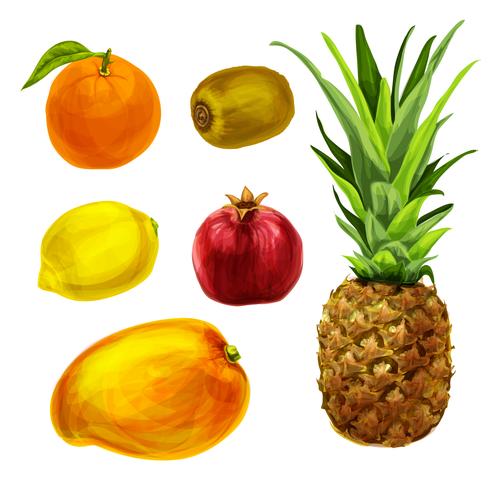 Tropische biologische fruitcollectie vector