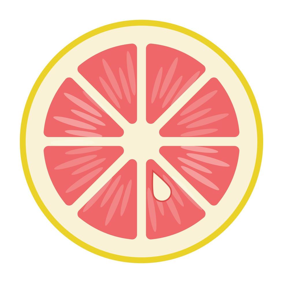 trendy grapefruitconcepten vector