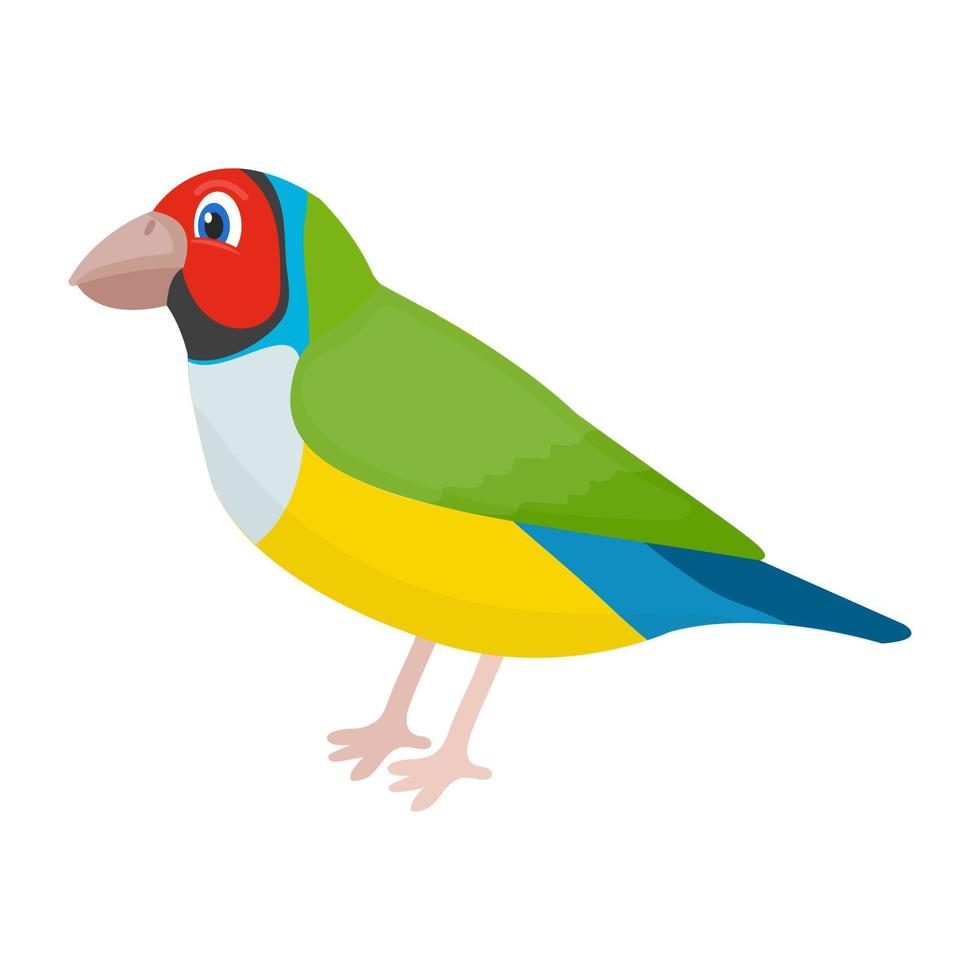 trendy papegaaienconcepten vector