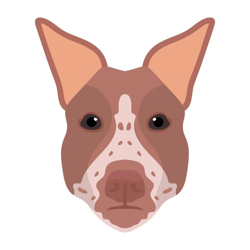 trendy dobermann concepten vector