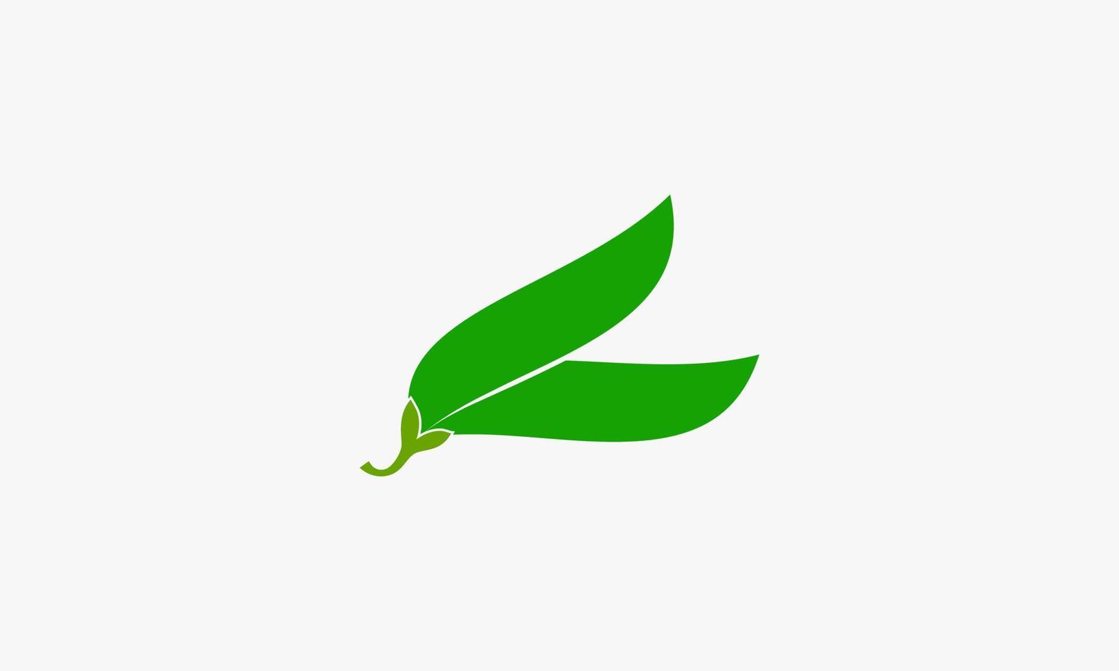 pinda lange bonen logo ontwerp vectorillustratie. groene kleur. vector