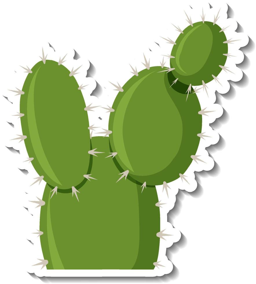 opuntia cactus plant op witte achtergrond vector