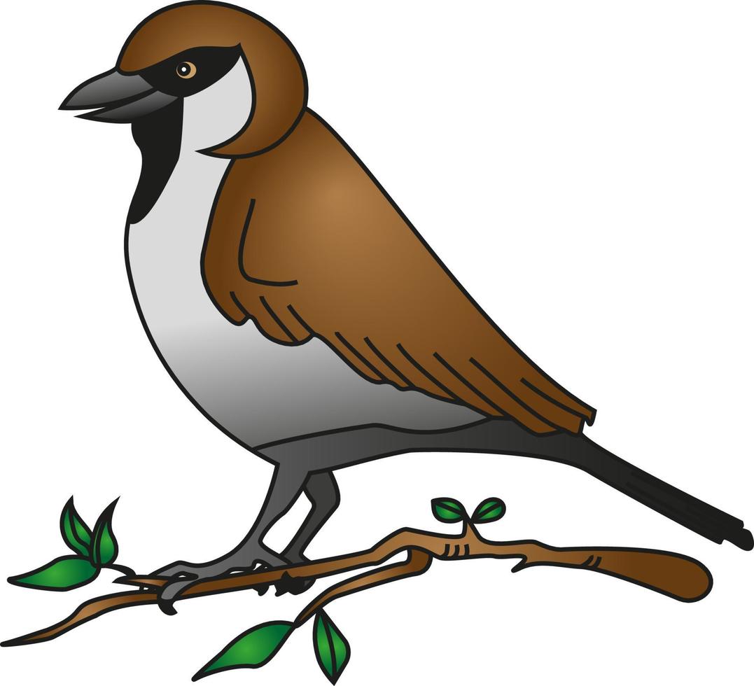 vectorillustratie van vogel op een tak geïsoleerd op een witte achtergrond. vector