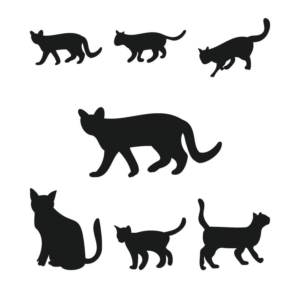 kat silhouet vector set met meerdere vormen. katten met verschillende poses silhouetten. kattenvector. kat lopen en zitten. katachtige collectie op witte achtergrond. zwarte kitty vector decorontwerp.