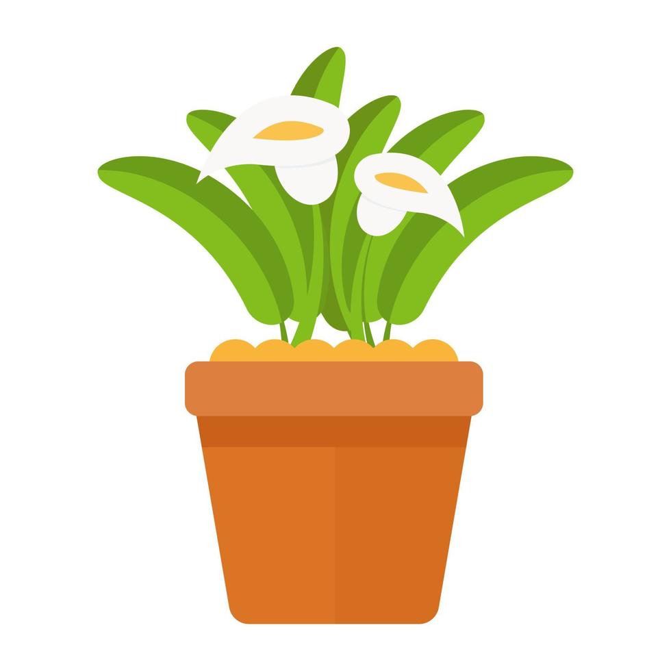 calla lelie concepten vector