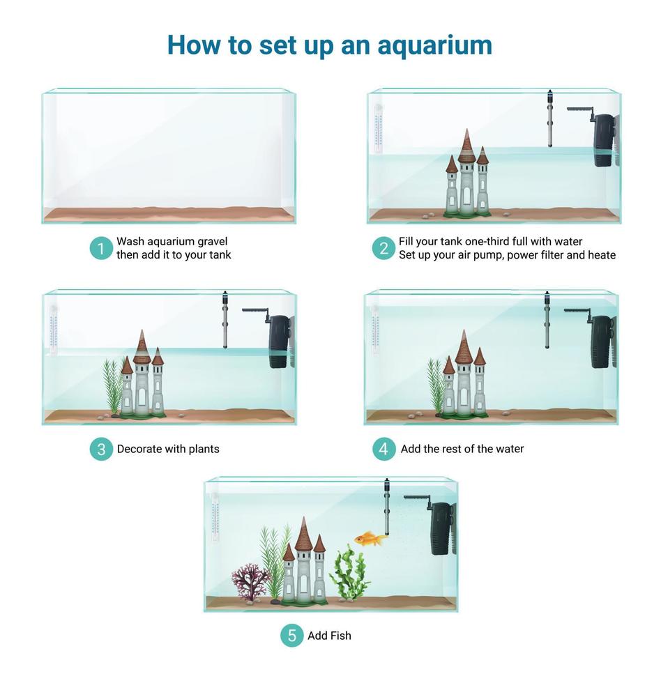 aquarium setup realistische infographics vector