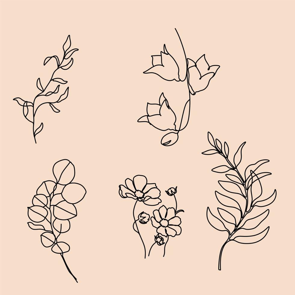 botanische bloemen lijntekeningen vector