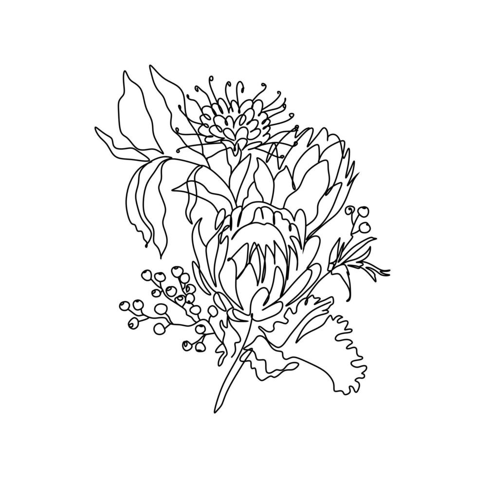 botanische bloemen lijntekeningen vector