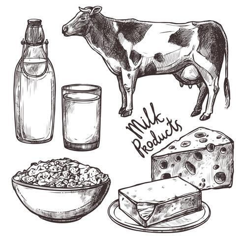 schets melkproducten set vector