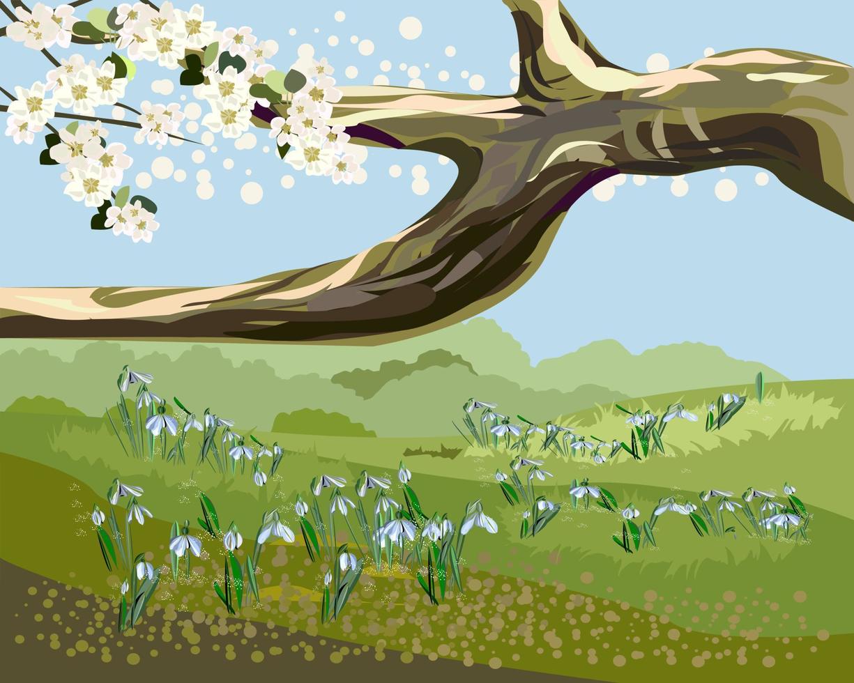 landschap lenteweide met sneeuwklokjes en appelboomtak vector