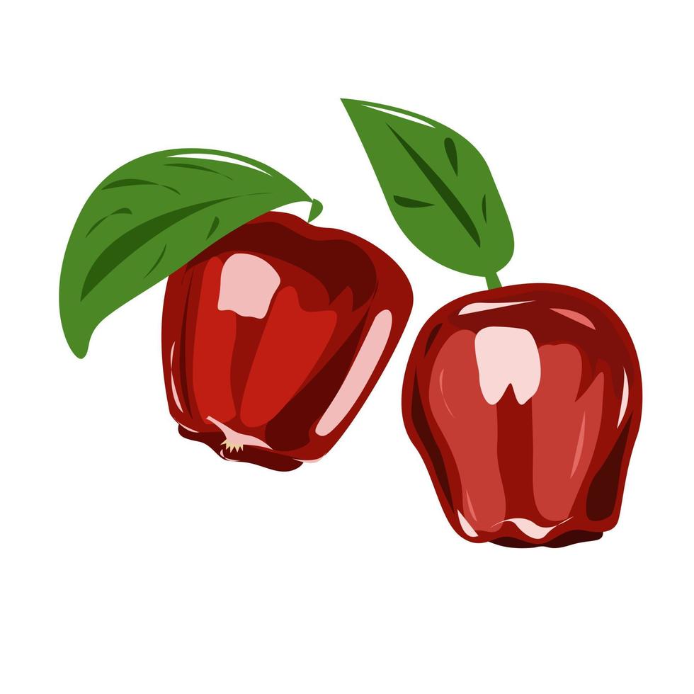 rode zoete appels met takjes op een witte achtergrond vector