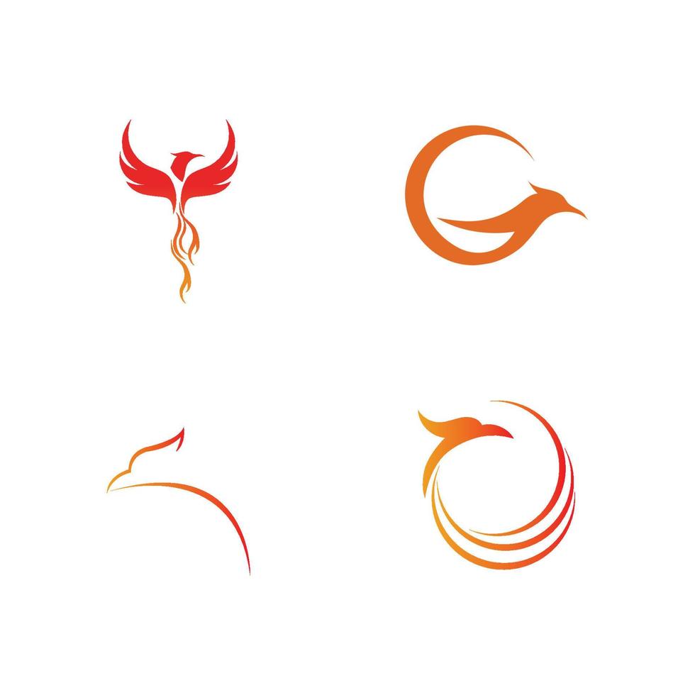 phoenix logo ontwerp vectorillustratie vector