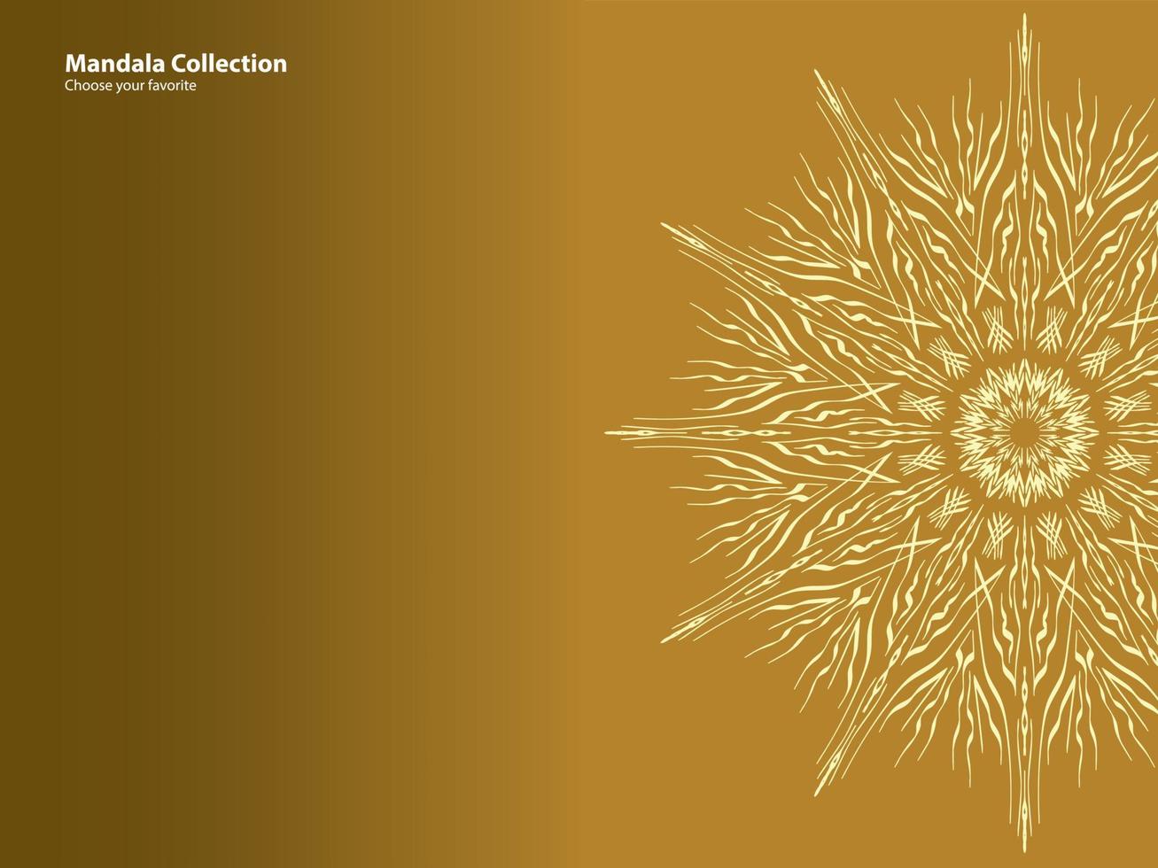 mandala patroon vintage etnisch stammen sjabloon stijl element behang achtergrond motief cirkel kunst textuur print traditioneel elegant rpund ornament tekening decoratie goud meditatie bloem aziatisch vector