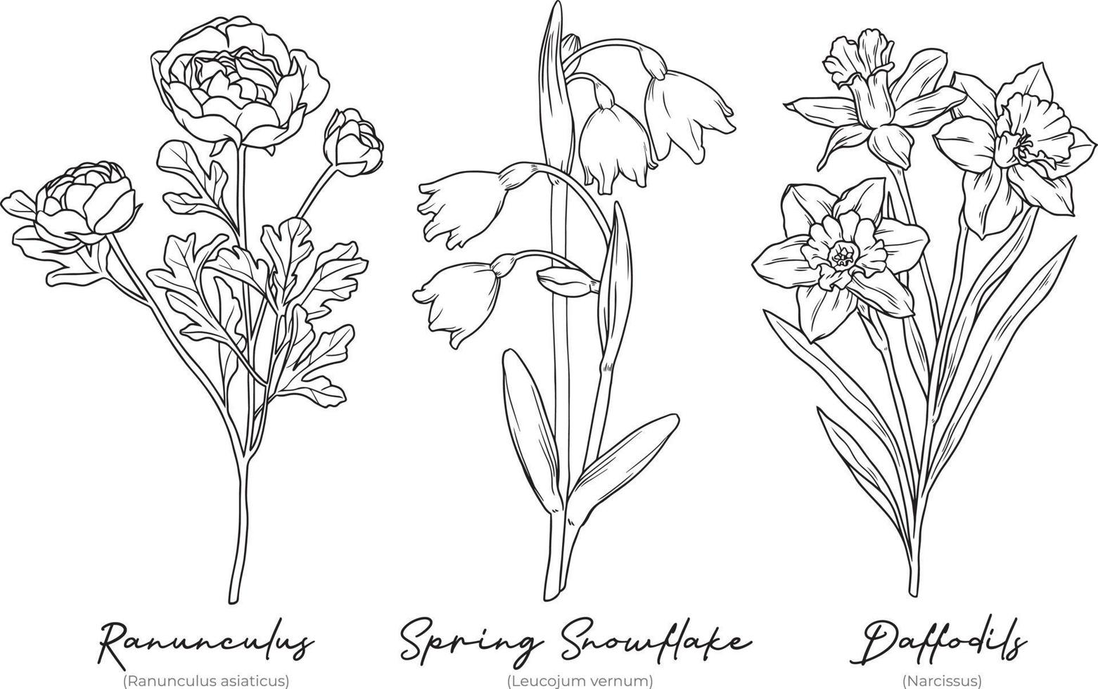 verzameling handgetekende winterbloemen vector