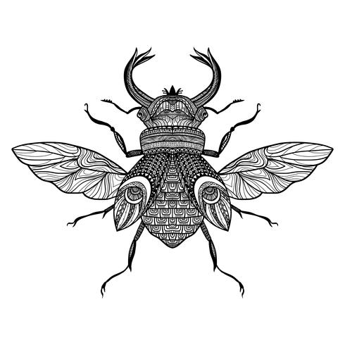 Schets decoratieve bug vector