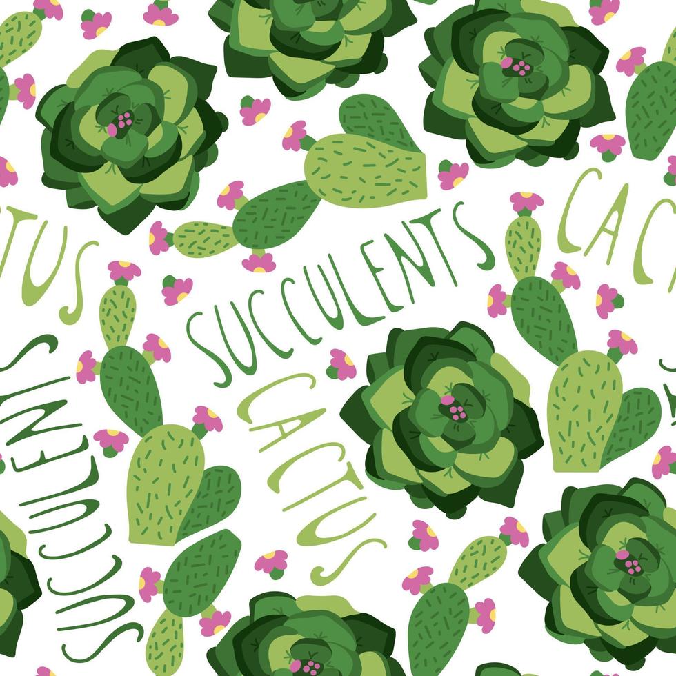 naadloos patroon met vetplanten en cactus in kleurrijke potten, patroon in doodle handgetekende stijl. vector
