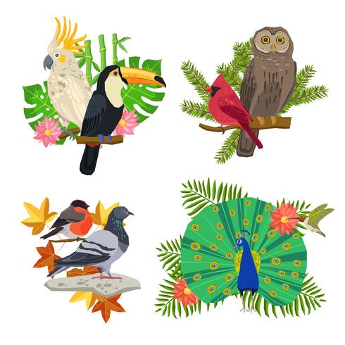 Vogels en bloemen instellen vector