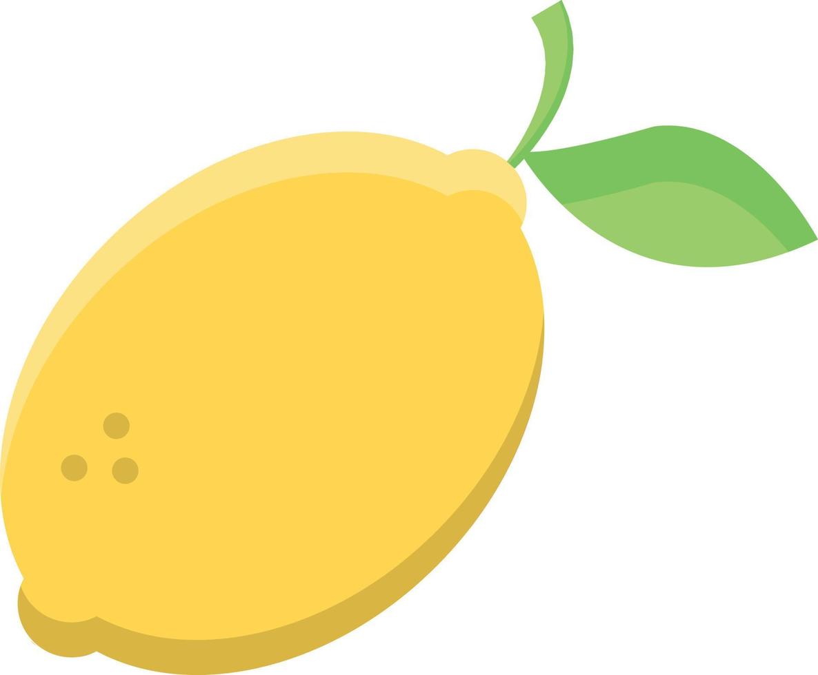 citroen plat icoon vector