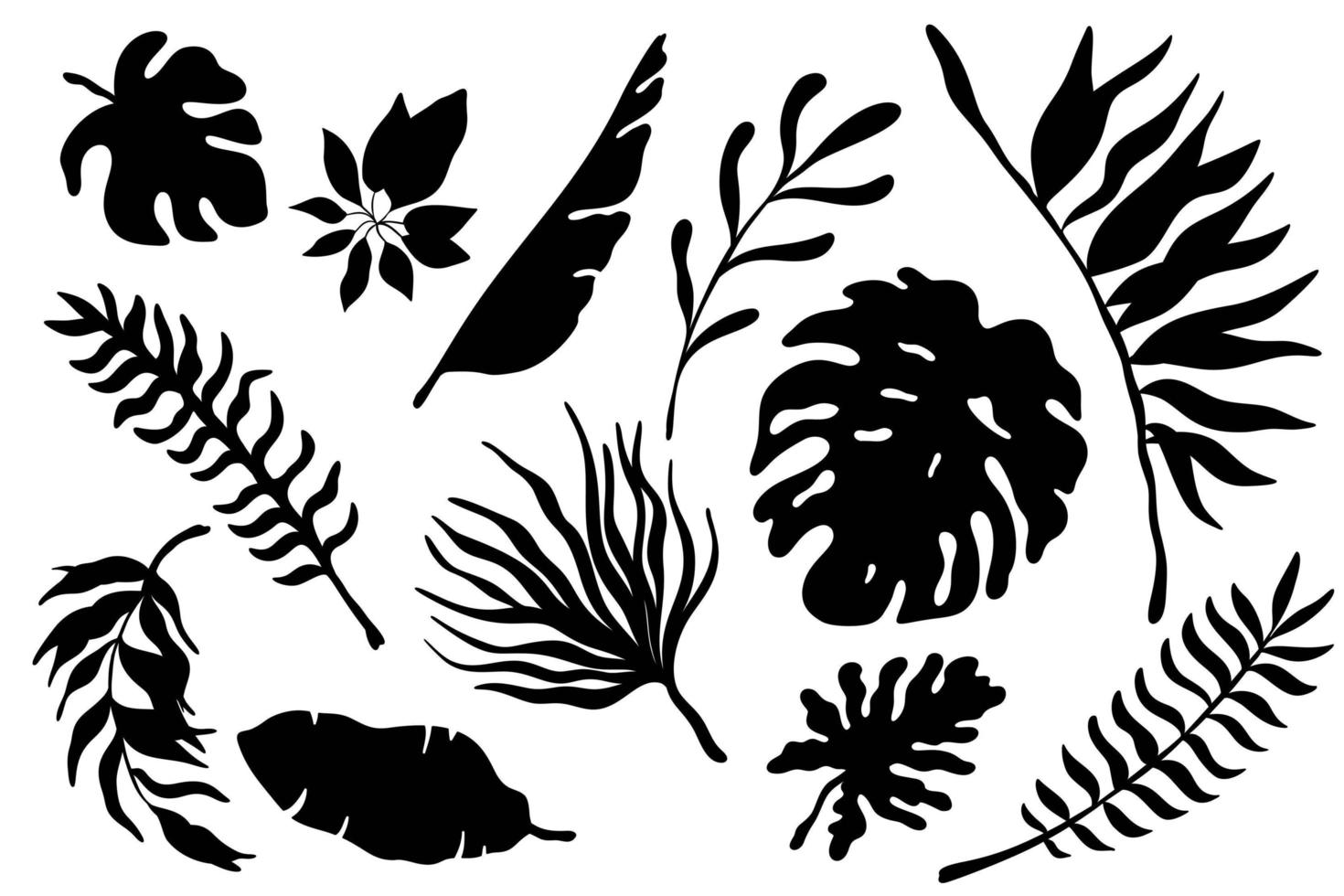 set van vector zwarte silhouetten tropische palmen bladeren. monochrome jungle exotische monsterabladeren, bananenbladeren, alocasia