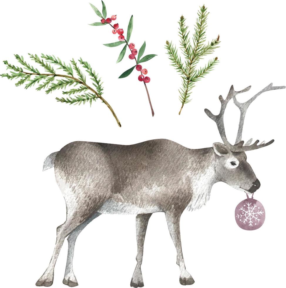 aquarel set takken voor kerst decor en rendieren vector aquarel