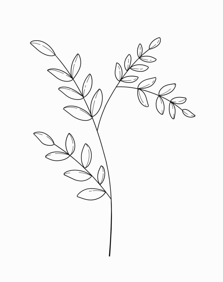 verzameling bloemen en bladeren in tekenstijl met doorlopende lijntekeningen vector