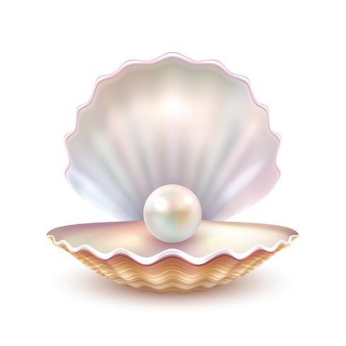 Pearl Shell Realistische close-up afbeelding vector