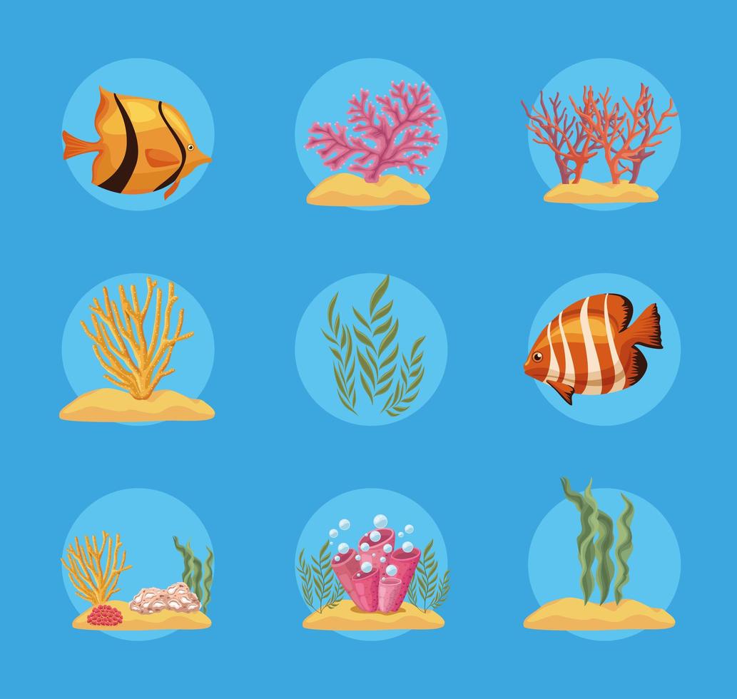 negen iconen van het zeeleven vector