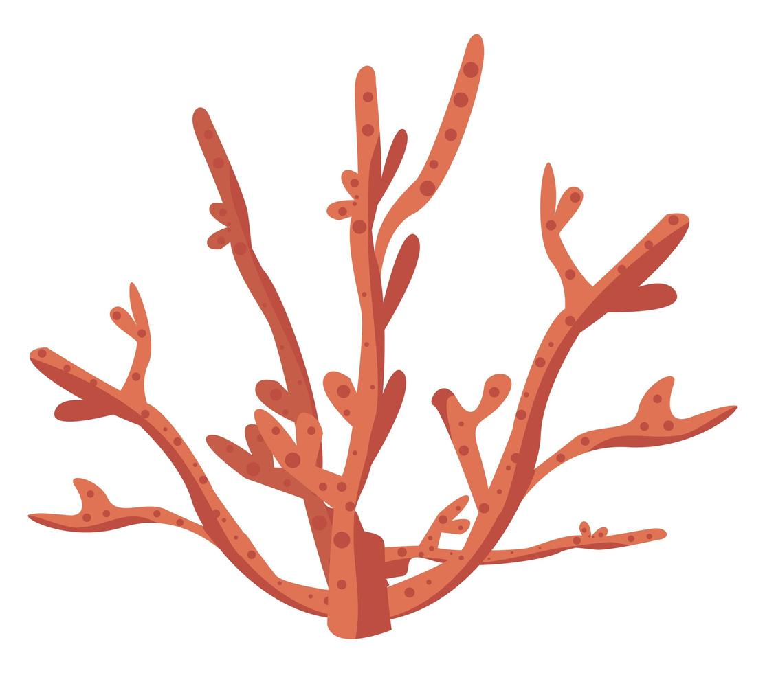 rood zeewier zeeleven vector