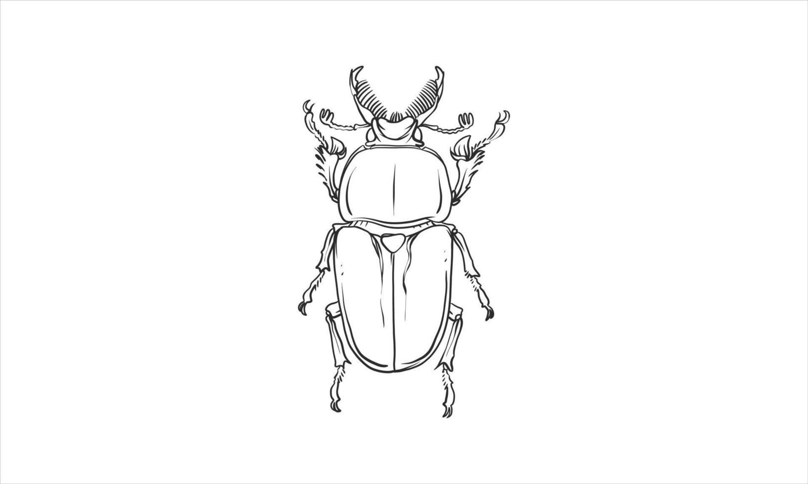 vector lineart illustratie van kevers op witte achtergrond, hand getrokken Japanse gehoornde kever bug insect sketch