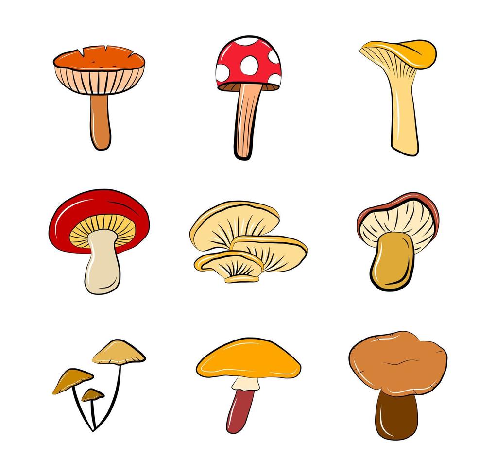 kleurrijke paddestoel collectie vector icon set geïsoleerd op wit cartoon sticker herfst seizoen oogst groenten