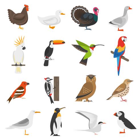 Vogel vlakke kleur Icons Set vector