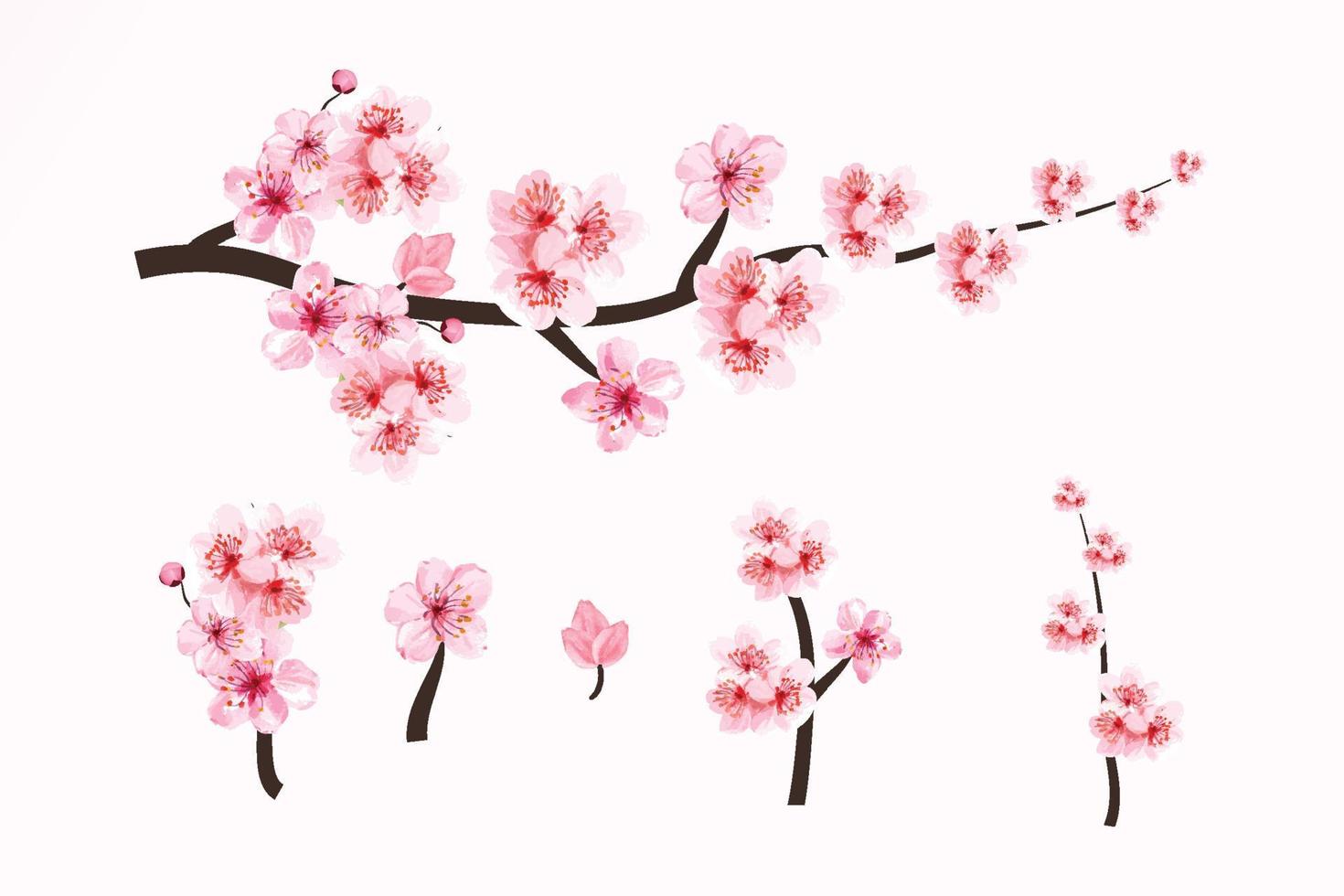 kersenbloesemtakelementen met sakurabloem. kersenbloesem met aquarel bloeiende sakura. aquarel kersenbloem. Japanse kersenbloesem vector. sakuratak met waterverfbloem. vector