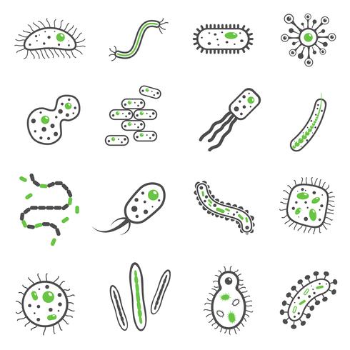 Bacteriën zwarte pictogrammen instellen vector