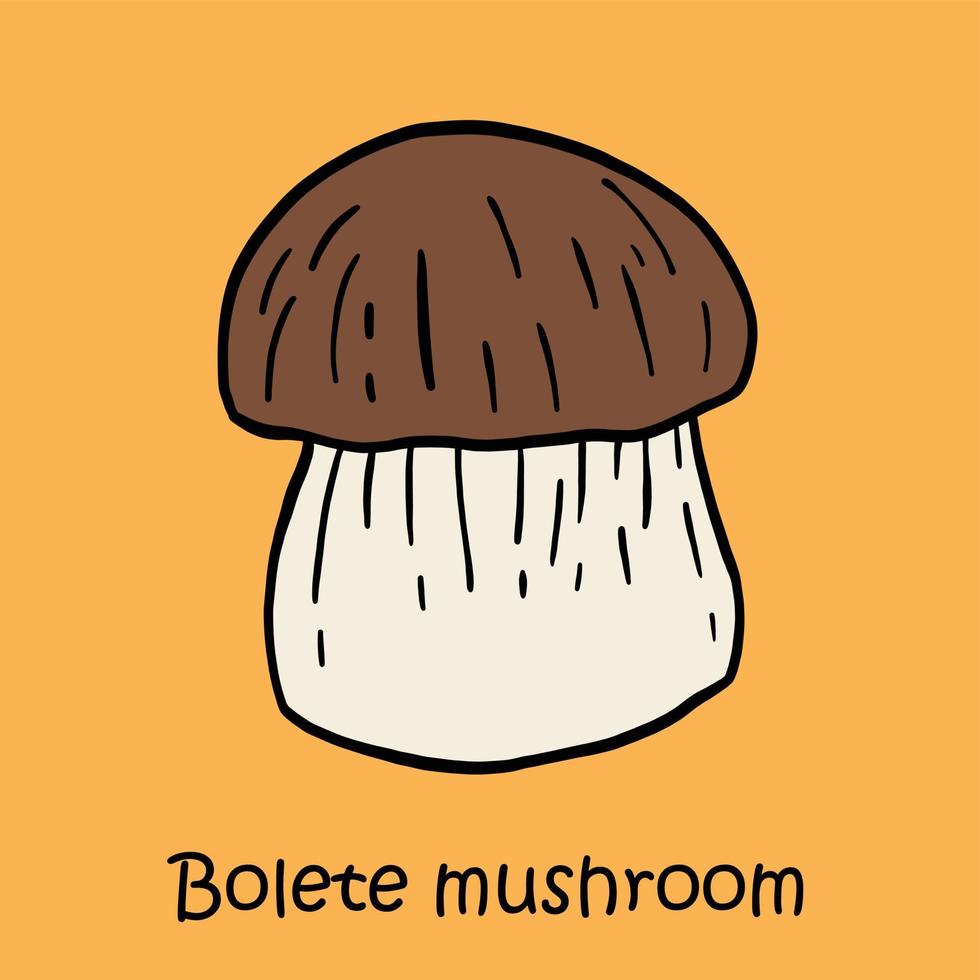 doodle uit de vrije hand schets tekening van boleet paddestoel. vector