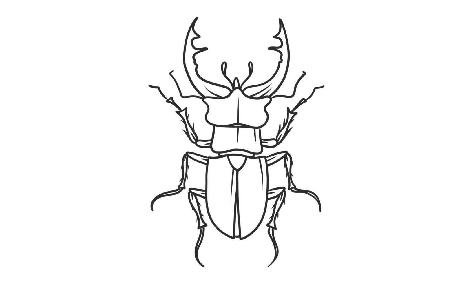 vector lineart illustratie van kevers op witte achtergrond, hand getrokken Japanse gehoornde kever bug insect sketch