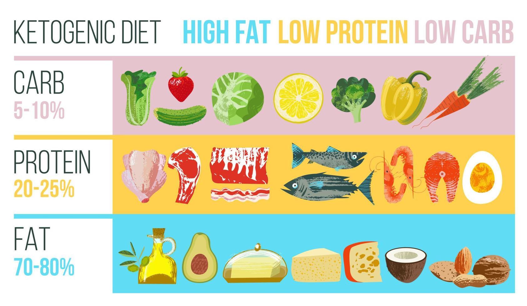 ketogeen dieet. een groot aantal producten voor het keto dieet. vectorillustratie. vlees, vis, groenten, oliën, noten, eieren. kleurrijke poster met verschillende producten. vector